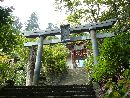 太平山神社石段沿いにある鳥居と紫陽花