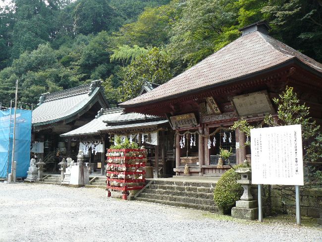 �����R�_��