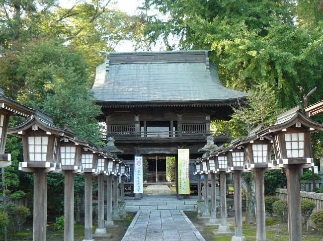 ���{�_��