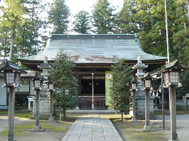 ���{�_��