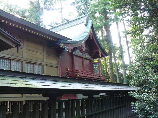 ���{�_��