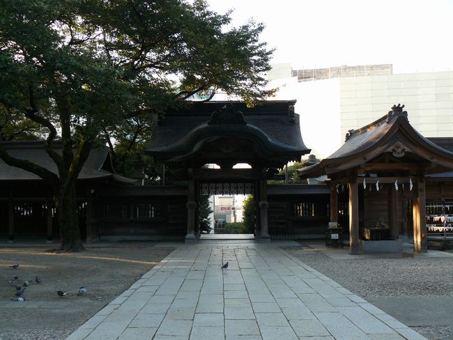 ��r�R�_��