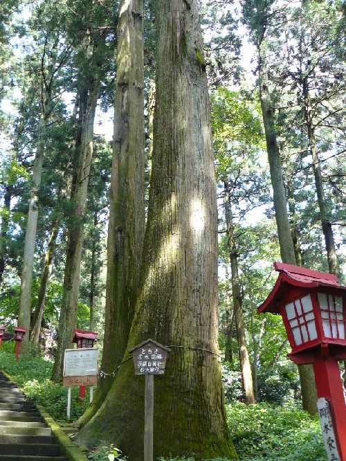 �H���R�_��