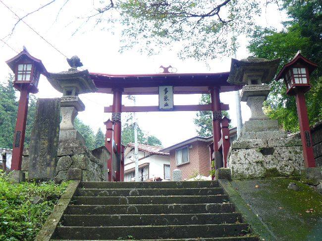 ���C�R�s����