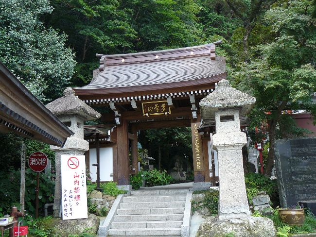 ���C�R�s����