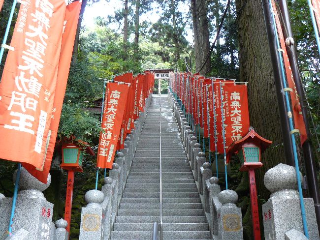 ���C�R�s����