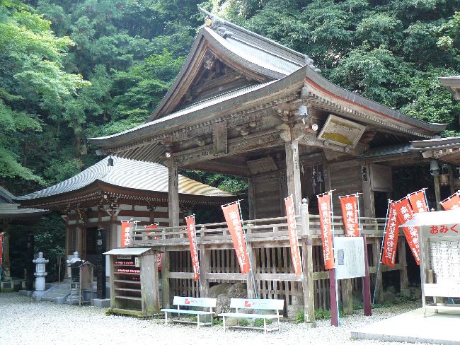 ���C�R�s����