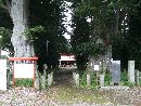 徳次郎智賀都神社参道両脇に生えるケヤキの大木