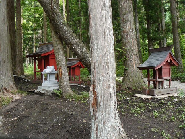 ���[�_�Љ���